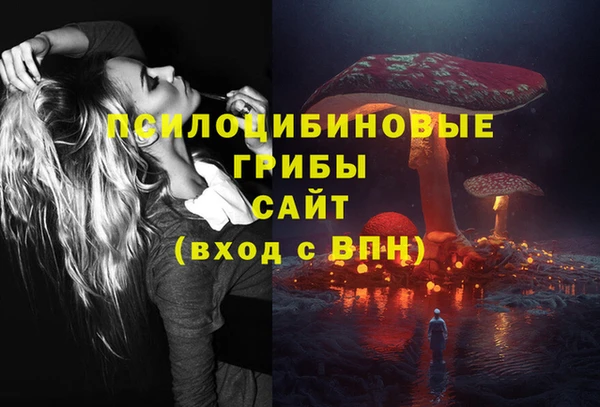 spice Нягань